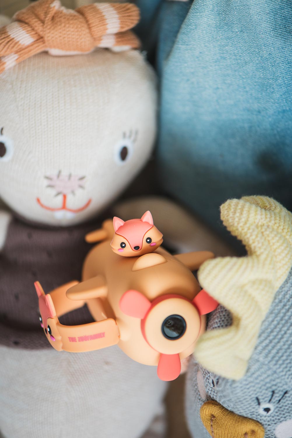 Zoo Video Camera - Fox