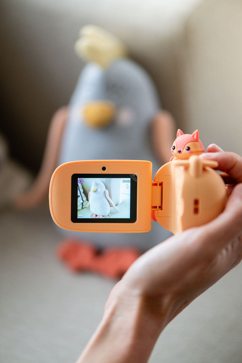 Zoo Video Camera - Fox