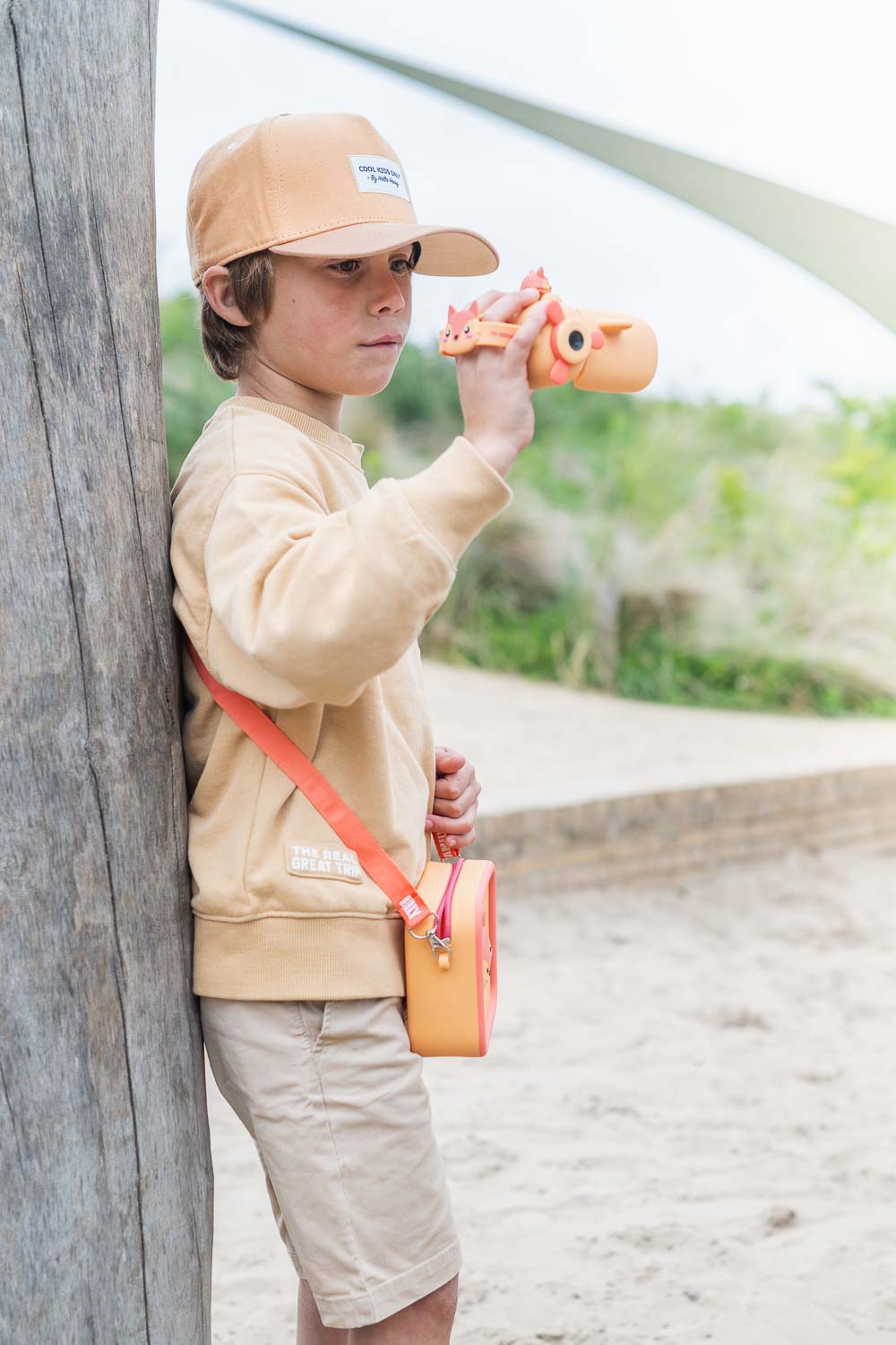 Zoo Video Camera - Fox